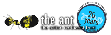 The Action Northeast Trust logo