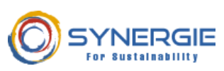 Synergie for Sustainability logo