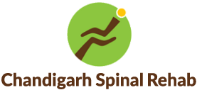 Chandigarh Spinal Rehab-An Initiative of Sai Aasra Paraplegic Rehab Centre logo