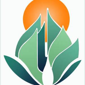 Haripur Welfare Society logo