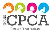 Thane Community for the Protection and Care of Animals (Thane CPCA) logo